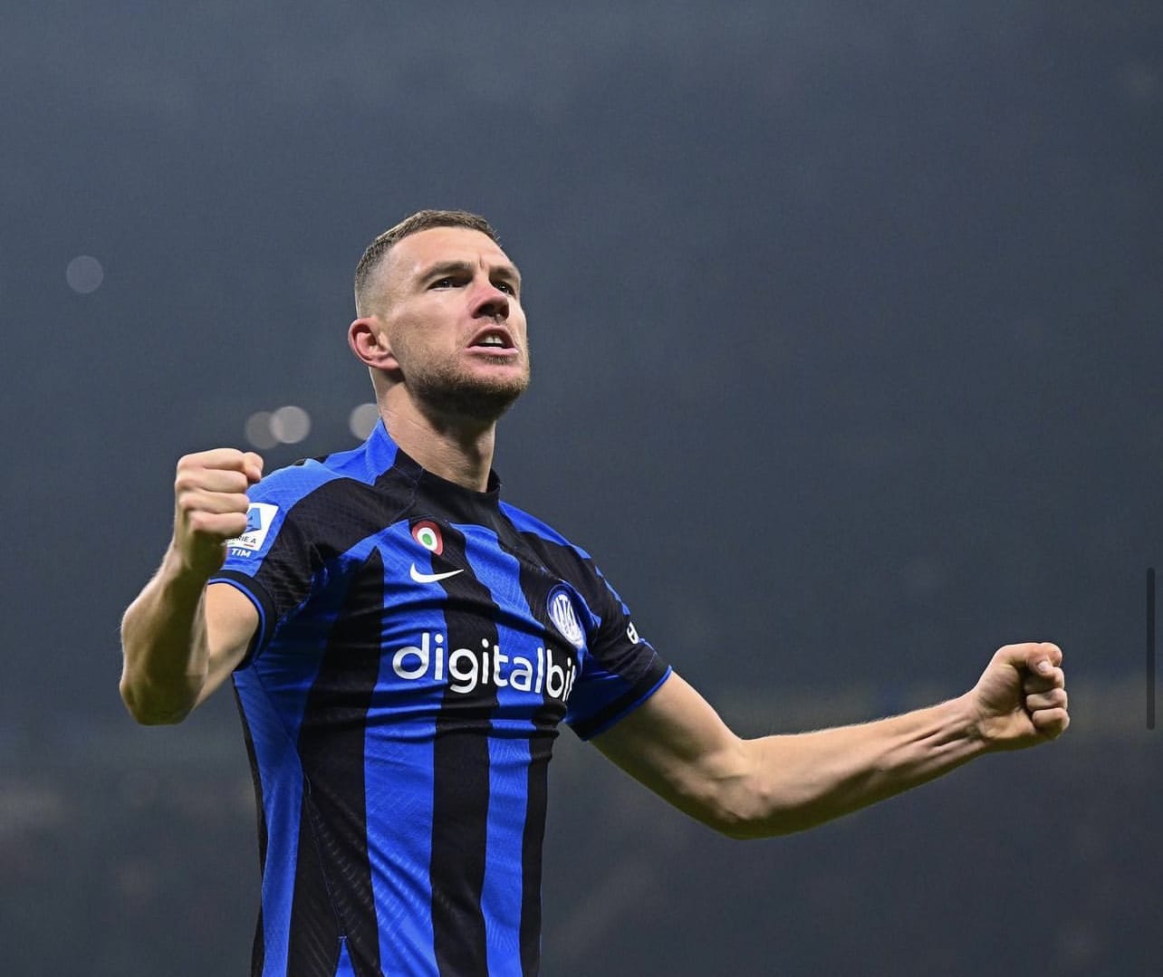 Edin Dzeko